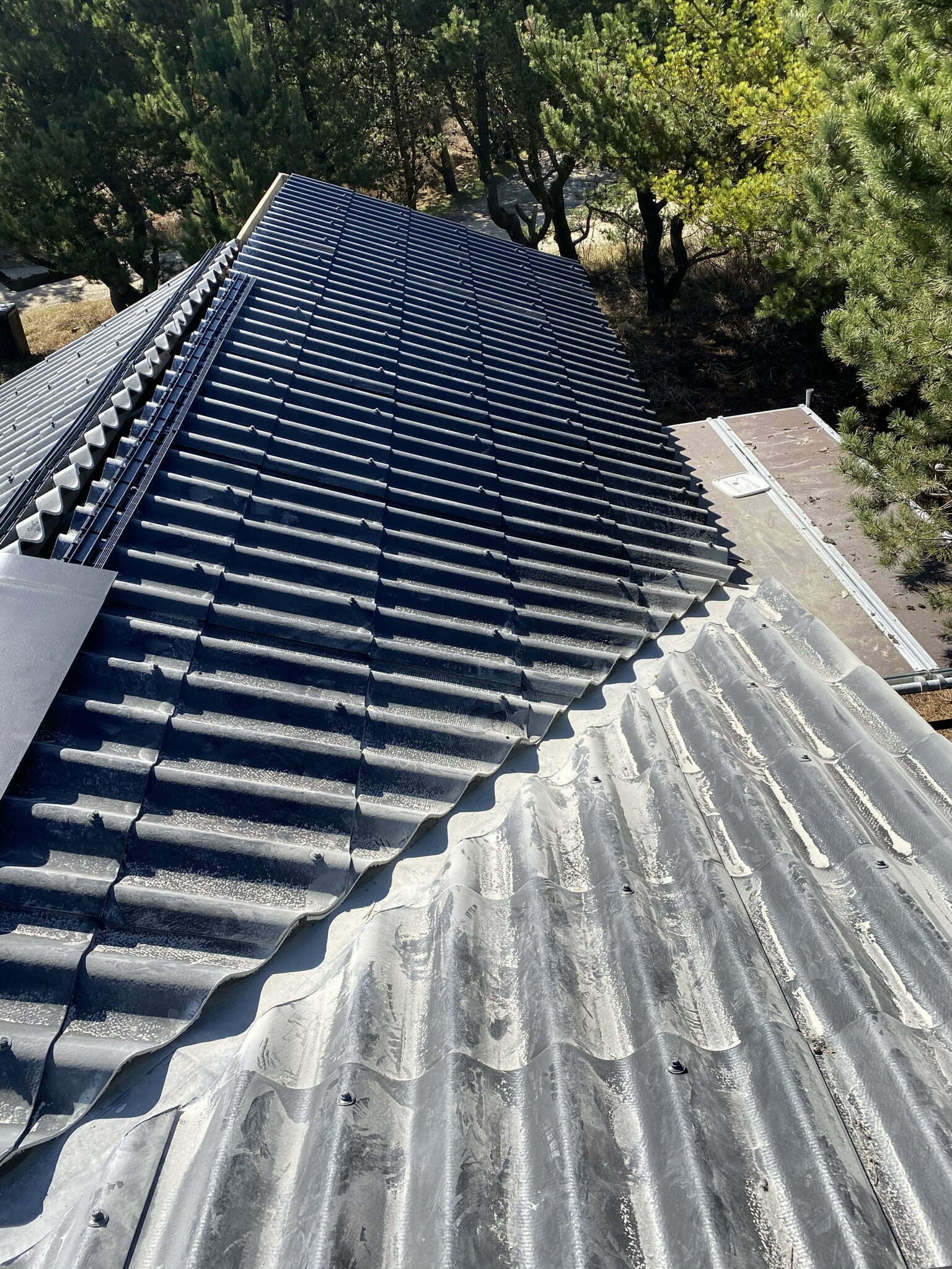 Nyt sort tag på hus omgivet af træer